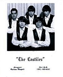 The Castilles-L to R, Frank Marziotti, Bruce Springsteen, George Theiss, Paul Potkin and Bart Haynes. Haynes, the drummer, was killed in Viet Nam in 1967